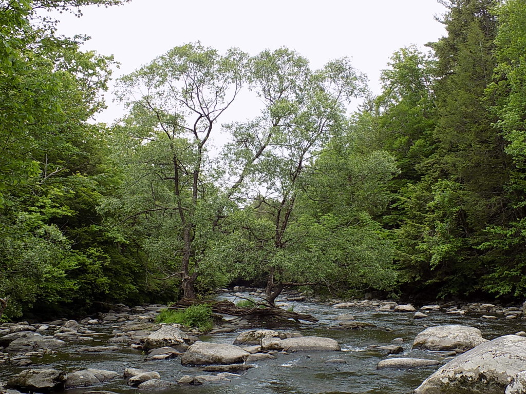 Off the Paper Mill Trail in Lisbon, ME